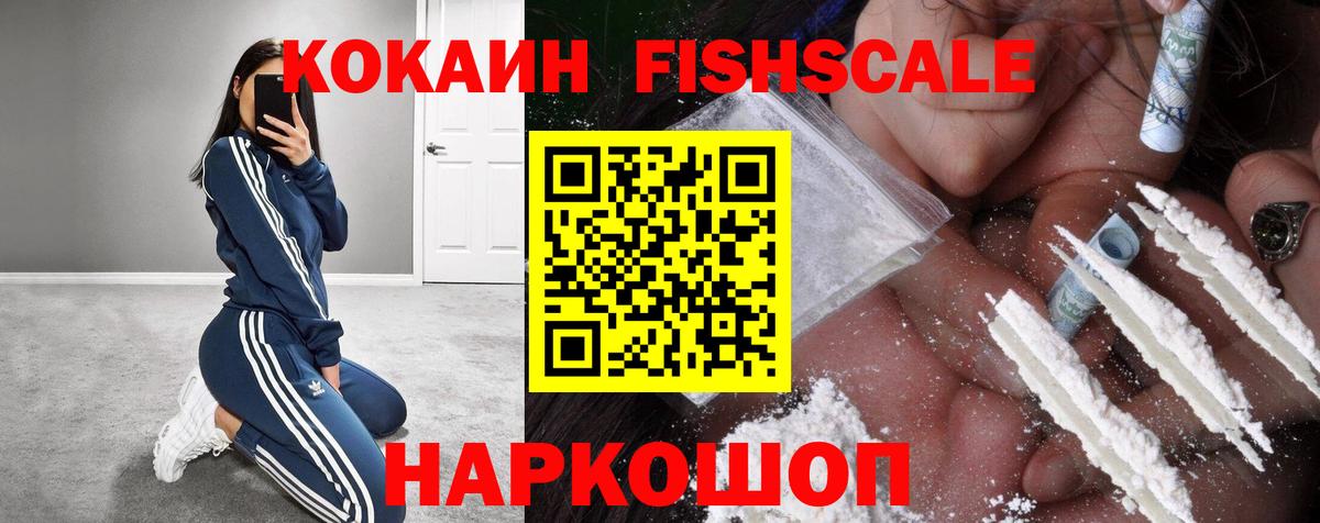 Cocaine FishScale  Вход с VPN  Соль-Илецк 