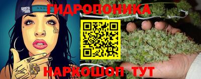 дурь Заволжье